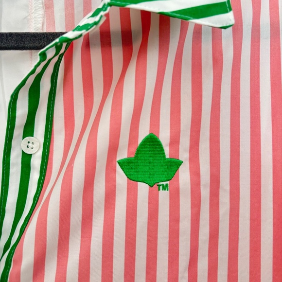 Ivy Store House AKA Contrast Stripe Ivy Poplin Shirt Dress - size L - Picture 4 of 6